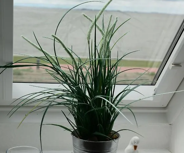 Apartamento Jensen-huus Dagebüll